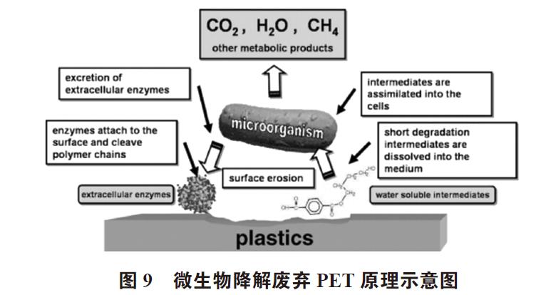 廢棄PET塑料包裝瓶的處理及再生資源化技術研究進展 廢棄PET塑料包裝瓶的處理及再生資源化技術研究進展