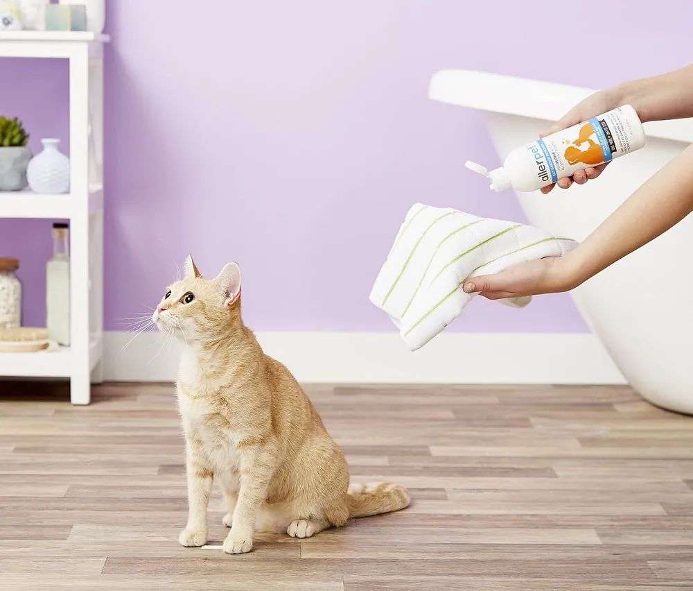 國內外巨頭相繼入局,寵物洗護品成為新的掘金賽道? 國內外巨頭相繼入局,寵物洗護品成為新的掘金賽道?