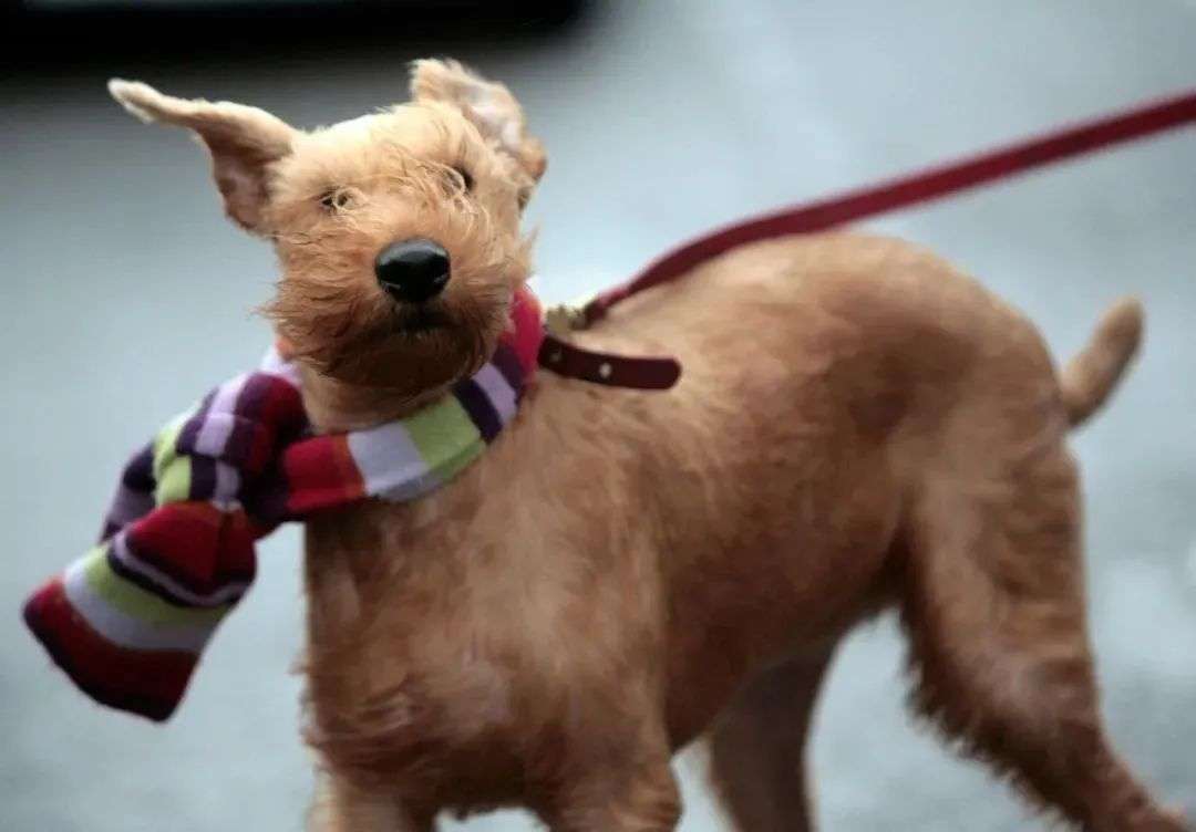 看一眼你的頭發(fā),就知道洗發(fā)水買錯了 看一眼你的頭發(fā),就知道洗發(fā)水買錯了